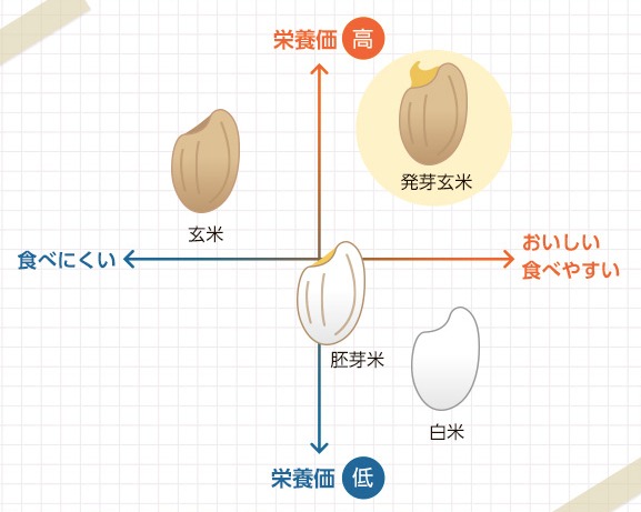 発芽玄米の底力 (2)